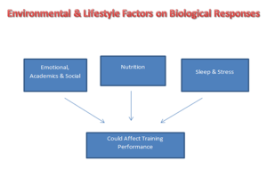 environment and lifestyle factors